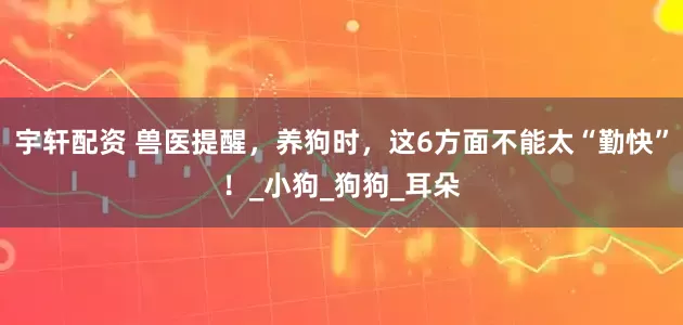 宇轩配资 兽医提醒，养狗时，这6方面不能太“勤快”！_小狗_狗狗_耳朵