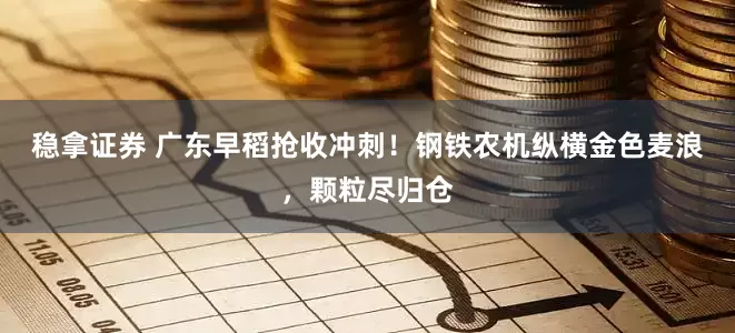 稳拿证券 广东早稻抢收冲刺！钢铁农机纵横金色麦浪，颗粒尽归仓